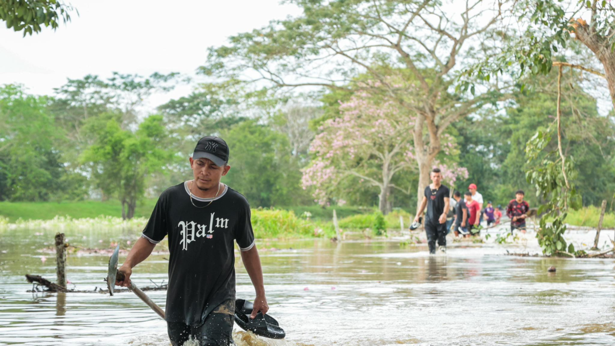 Más de 364.000 personas están infectadas

 – Ojo critico