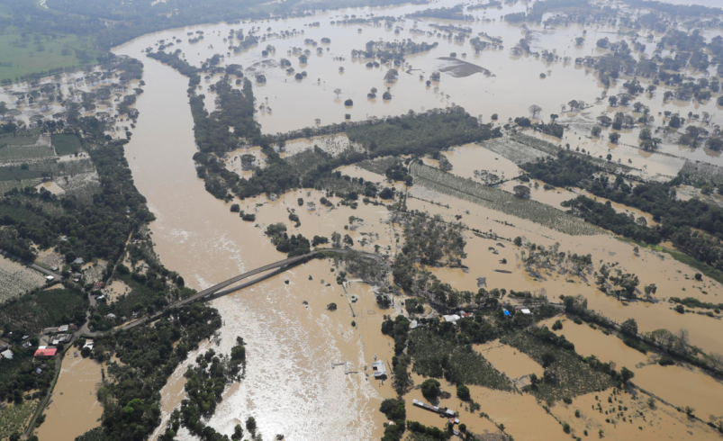 Más de 120.000 personas están enfermas

 – Ojo critico