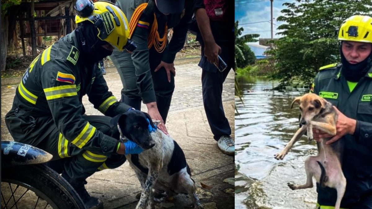 «No pueden pedir ayuda a gritos»

 – Ojo critico
