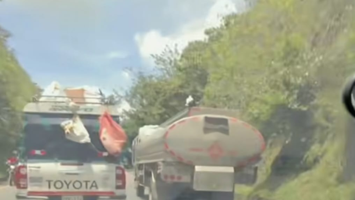 Se graba camioneta cargando dos perros colgados en medio de peligros en la Carretera Panamericana

 – Ojo critico