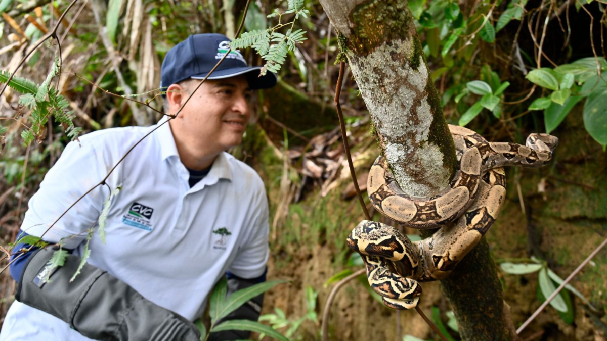 Se trata de una triple alianza que convierte las cámaras trampa en escudos contra los delitos medioambientales

 – Ojo critico