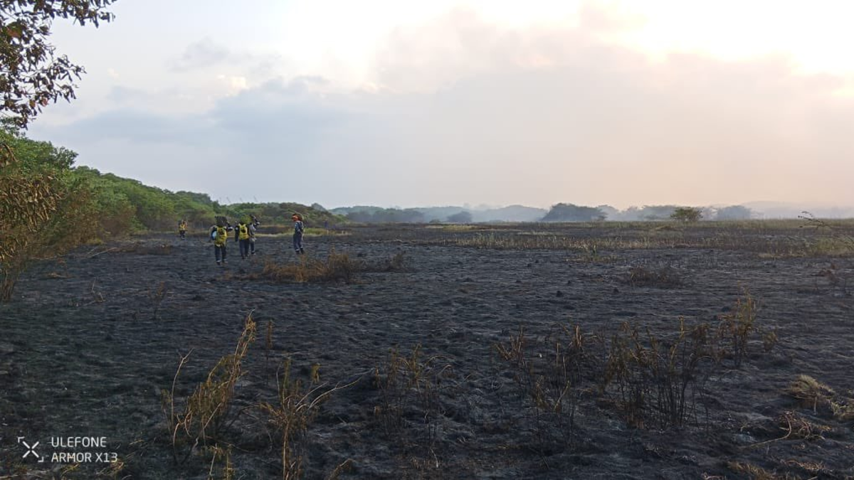 Se reaviva la preocupación por el medio ambiente.

 – Ojo critico