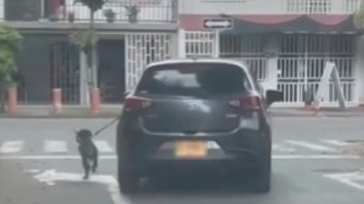 Autoridades investigan presunto caso de abuso sexual en el norte de Cali

 – Ojo critico