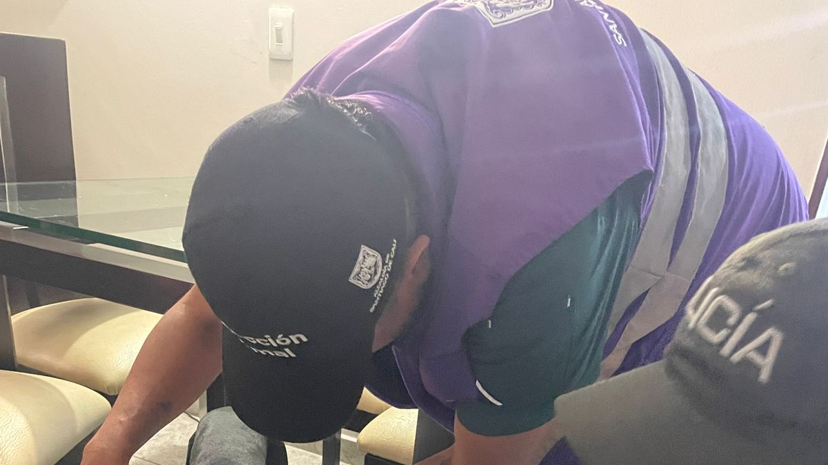 Policía investiga denuncia por arrastre de perro con correa desde un auto en marcha en Cali: ¿qué medidas han tomado contra el dueño?

 – Ojo critico