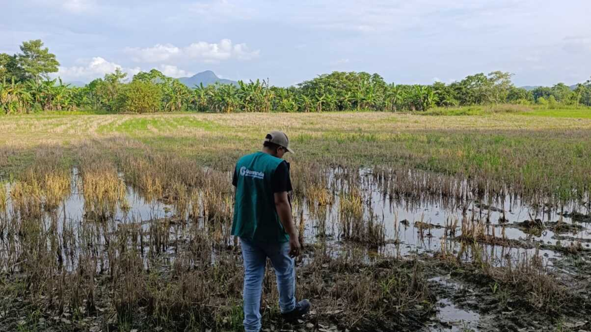 “Llevamos 4 años inundados” – Lucy García, Gobernadora de Sucre

 – Ojo critico