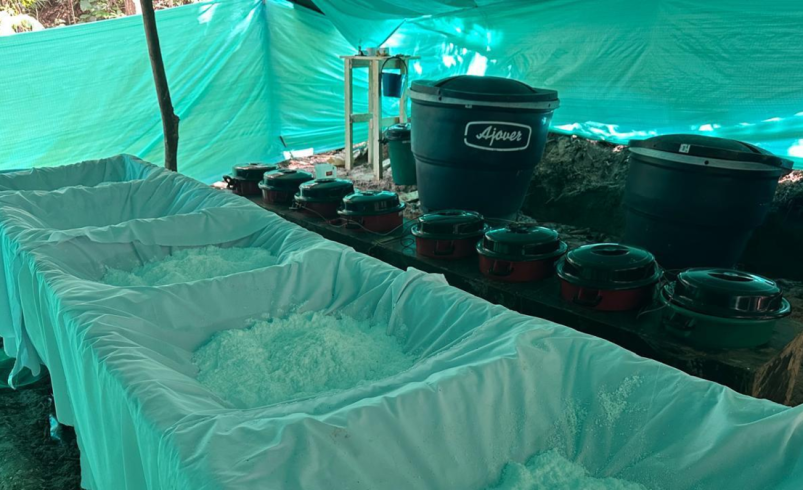 De esta manera se aseguró el material.

 – Ojo critico