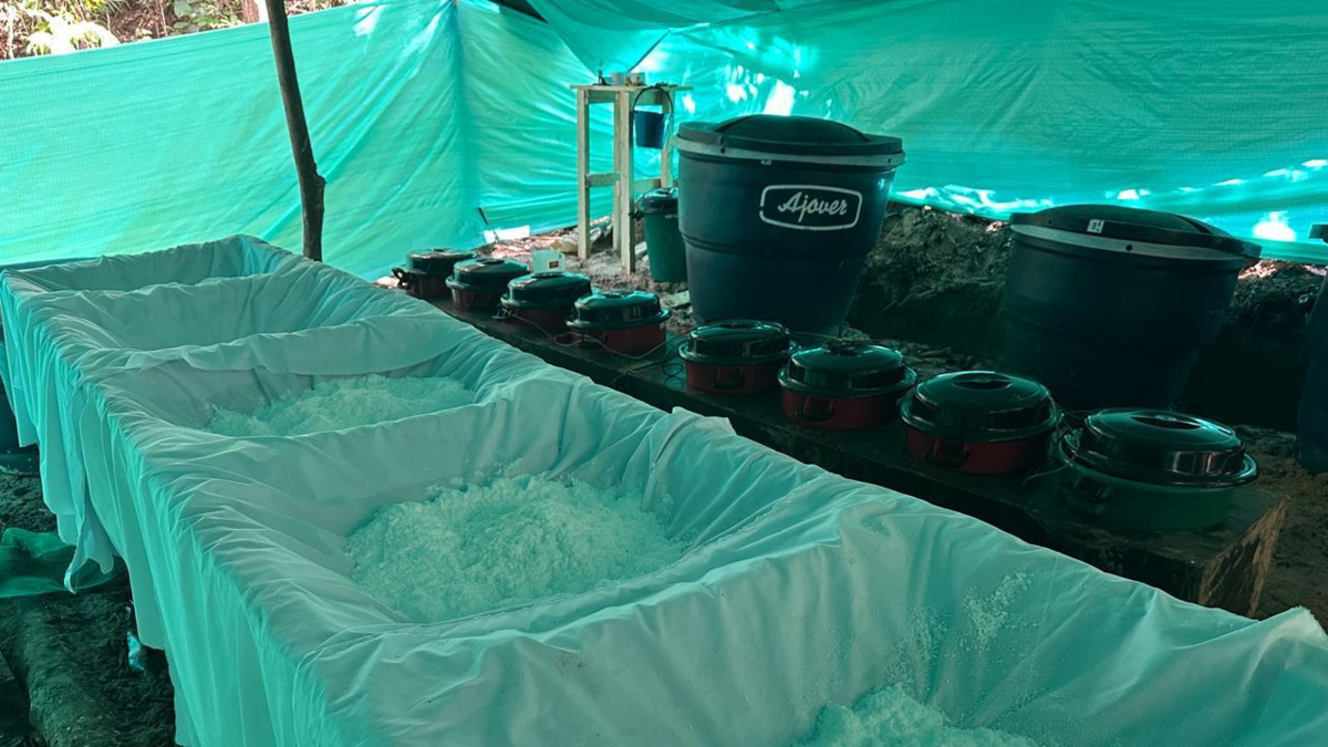 De esta manera se aseguró el material.

 – Ojo critico