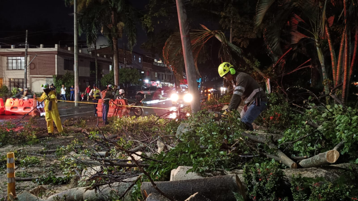 Árboles caídos, calles inundadas y semáforos dañados: así sobrevivió Cali la tarde

 – Ojo critico