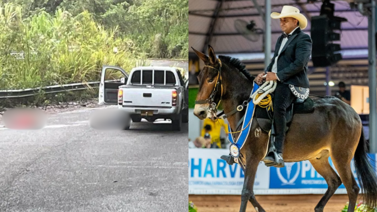 Un sangriento asentamiento de bandas en el suroeste de Antioquia que, por culpa de un hermano, le costó la vida al mejor arriero de Colombia

 – Ojo critico