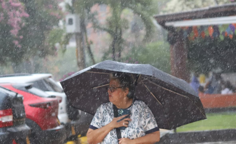 Se activan restricciones de playas y alertas de emergencia

 – Ojo critico