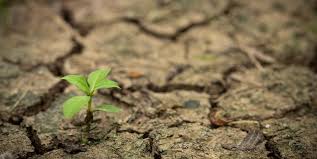 El simulador que salva a las pymes del caos climático: la herramienta que predice pérdidas y protege tu negocio

 – Ojo critico