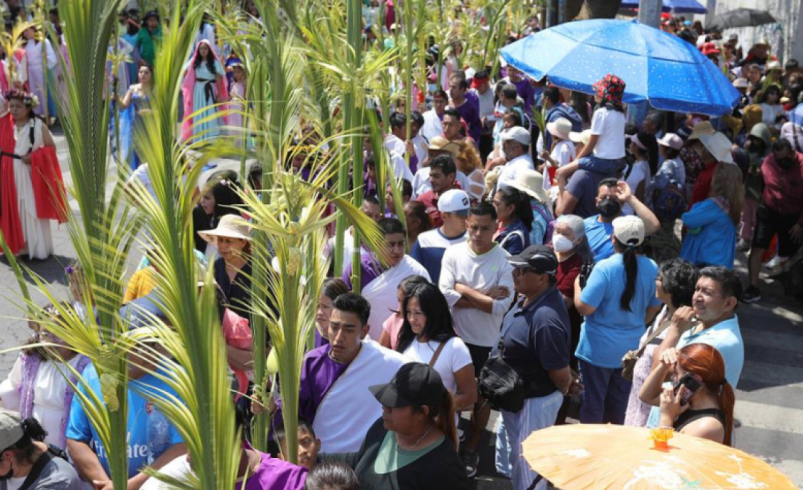 Barranquilla entregará 12.000 plantones de palma areca para el Domingo de Ramos como alternativa sustentable a la tradicional palma de cera

 – Ojo critico