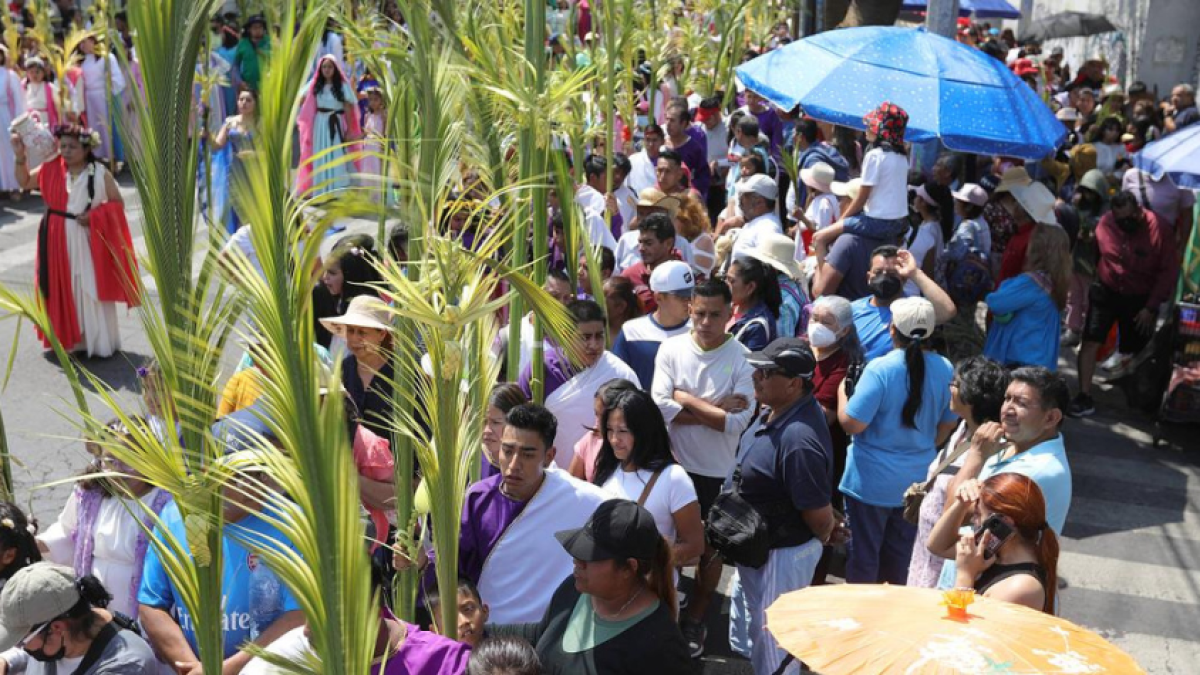 Barranquilla entregará 12.000 plantones de palma areca para el Domingo de Ramos como alternativa sustentable a la tradicional palma de cera

 – Ojo critico