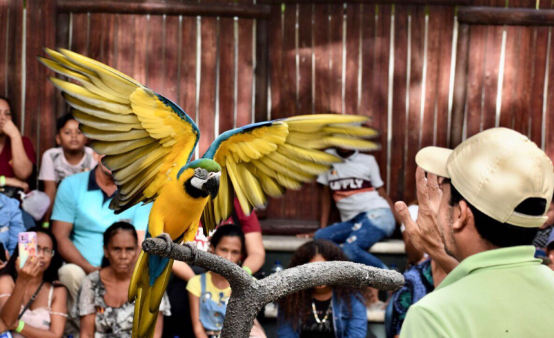 El Zoológico de Barranquilla se ha convertido en un referente del turismo de naturaleza, que incluye la conservación, educación y cría de más de 700 animales.

 – Ojo critico