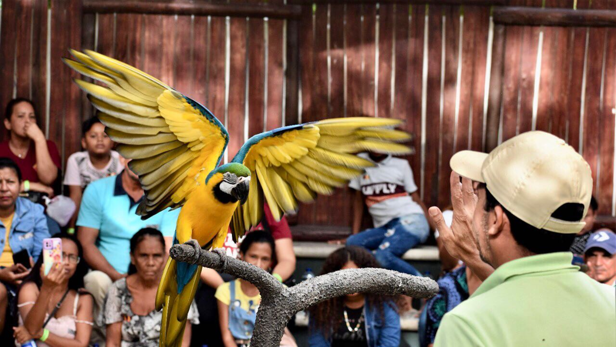 El Zoológico de Barranquilla se ha convertido en un referente del turismo de naturaleza, que incluye la conservación, educación y cría de más de 700 animales.

 – Ojo critico