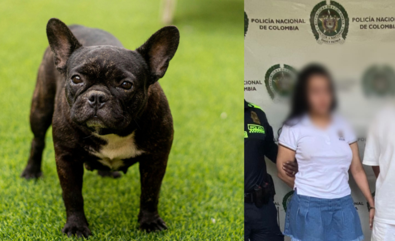 Dos personas fueron arrestadas por maltrato animal

 – Ojo critico