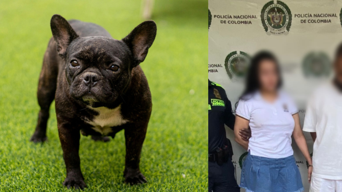 Dos personas fueron arrestadas por maltrato animal

 – Ojo critico