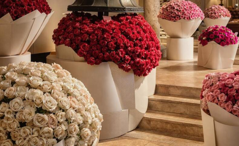 una exposición de las flores más bellas del mundo, que será llevada a Cartagena la próxima Semana Santa

 – Ojo critico