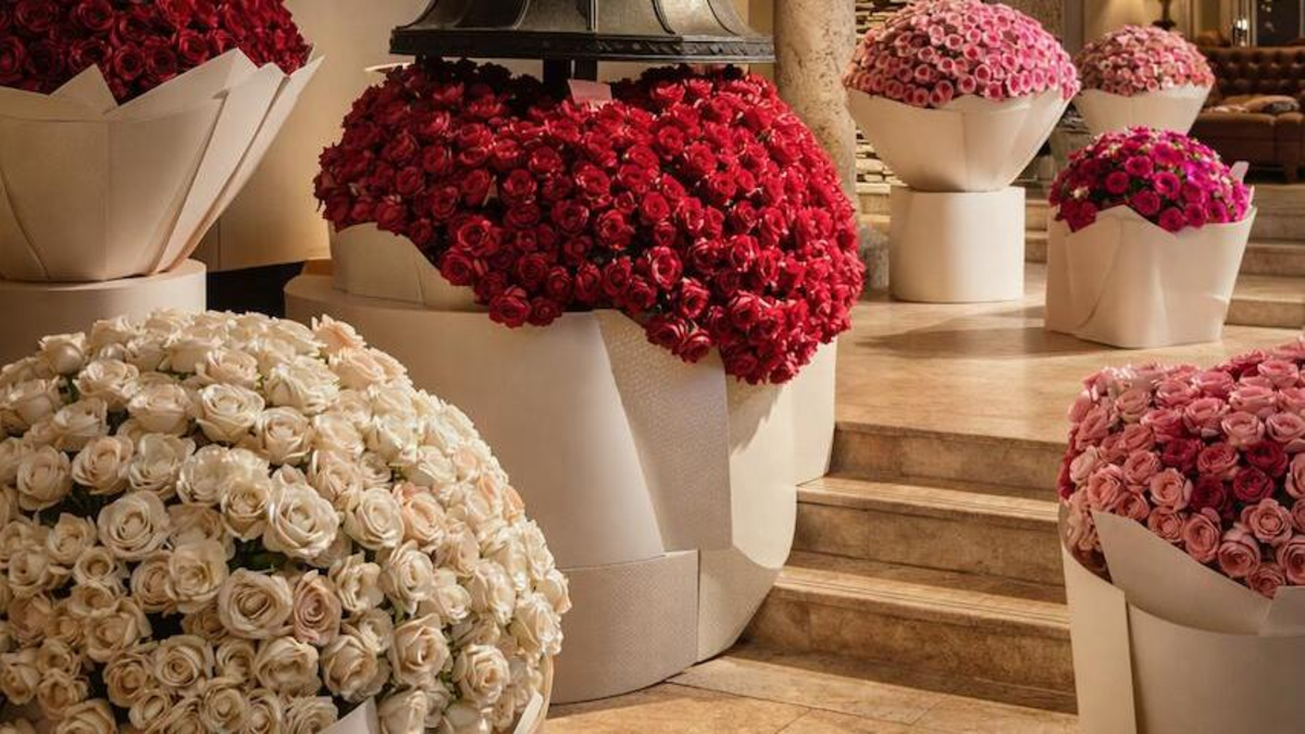 una exposición de las flores más bellas del mundo, que será llevada a Cartagena la próxima Semana Santa

 – Ojo critico