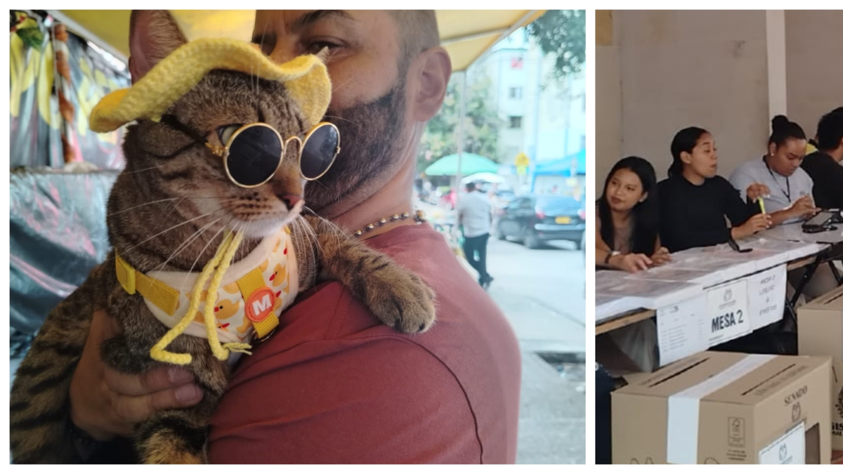 del «agosto» de taxistas y vendedores ambulantes, a las «corridas» de mascotas

 – Ojo critico