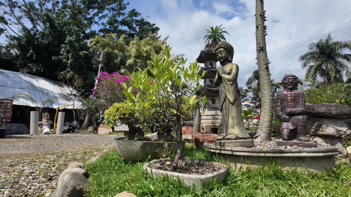 ¿Quién era el dueño que vivía lujosamente en el distrito sur de Cali?

 – Ojo critico