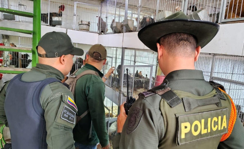 Las autoridades ambientales de California están tomando medidas contra el comercio ilegal

 – Ojo critico