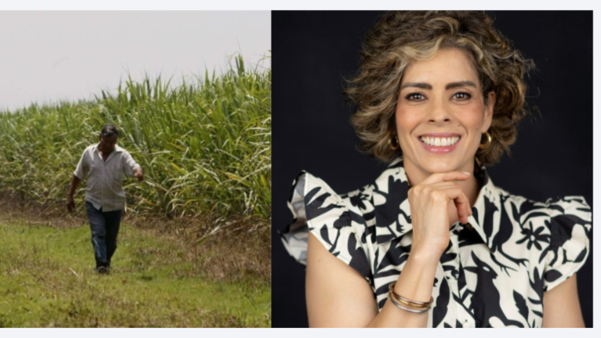 ¿Quién es y cuáles son los desafíos que enfrenta esta asociación en el Valle del Cauca?

 – Ojo critico