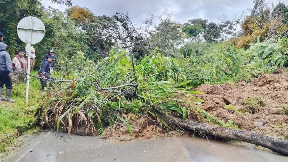 Fuertes lluvias inundan viviendas, destruyen cultivos y aislan municipios

 – Ojo critico