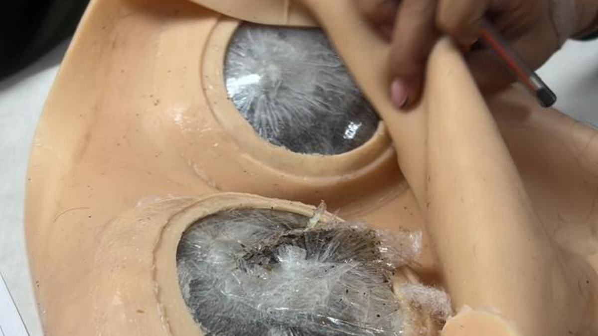 Una mujer fue sorprendida escondiendo 2,6 kilogramos de droga en un bus de Cali a Bogotá

 – Ojo critico