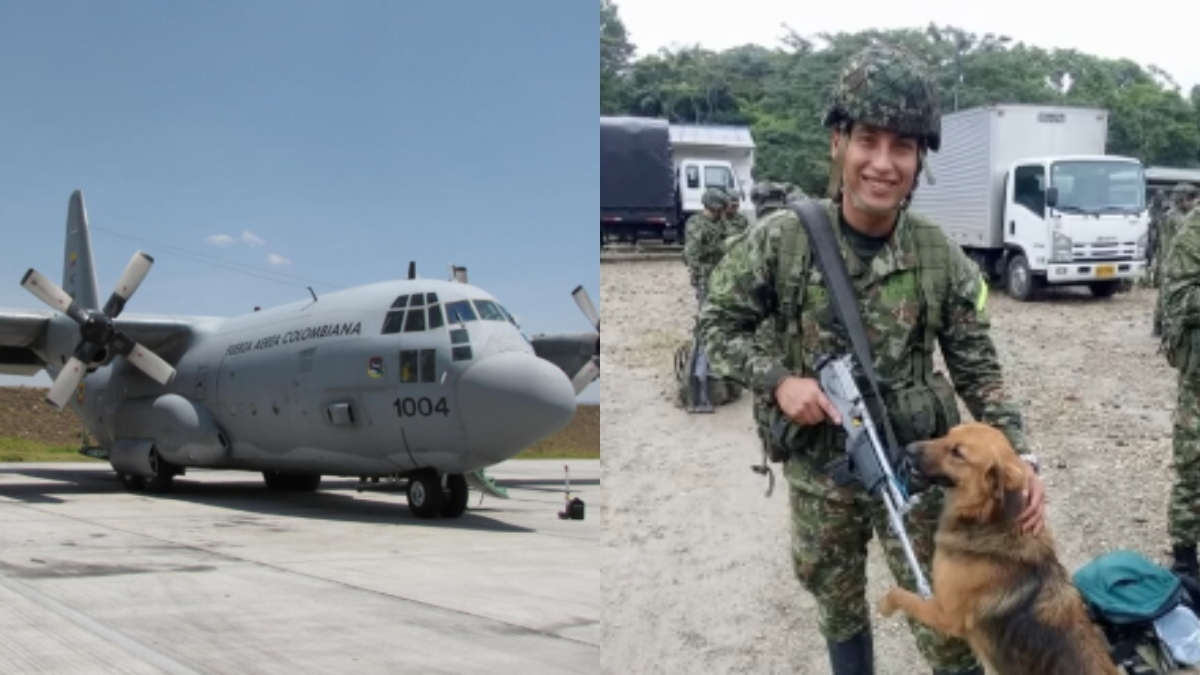 el hombre no habría entrado gracias a su perro

 – Ojo critico