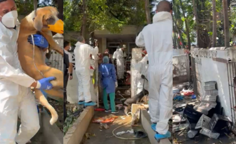 Más de 100 personas permanecen en cuarentena tras cirugía en «Casa de los Gatos»

 – Ojo critico