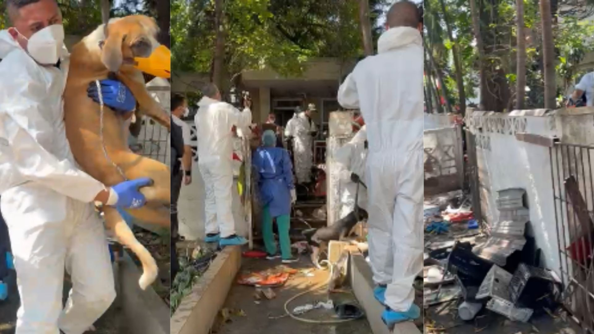 Más de 100 personas permanecen en cuarentena tras cirugía en «Casa de los Gatos»

 – Ojo critico