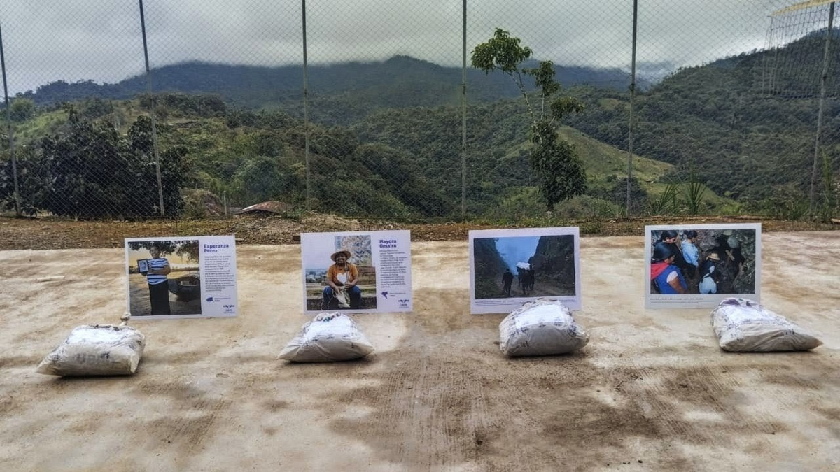 De esta manera fueron encontrados los cuerpos de diez personas desaparecidas en territorios indígenas de Nariño

 – Ojo critico