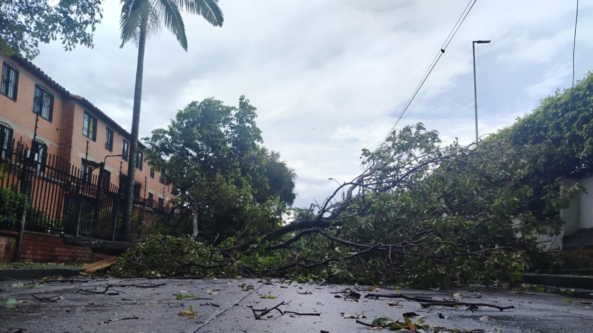 Emergencia por tormenta en Cali

 – Ojo critico