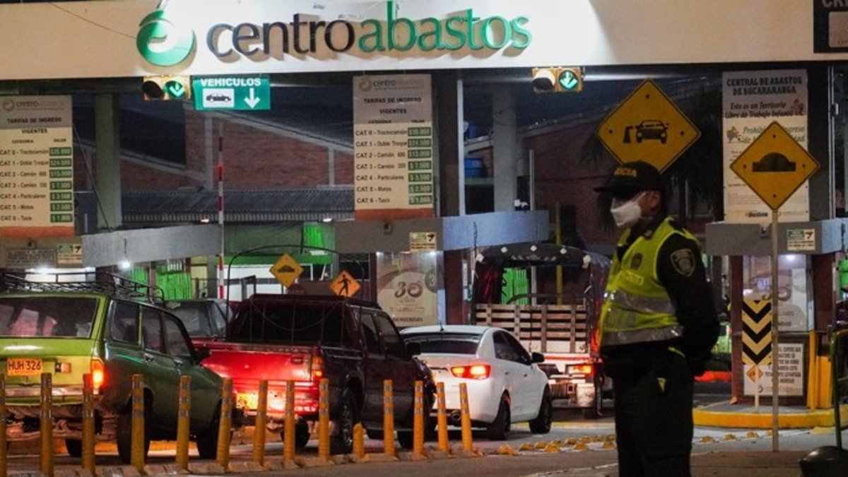 Habrá un «viaje de pesca matutino» para los turistas.

 – Ojo critico