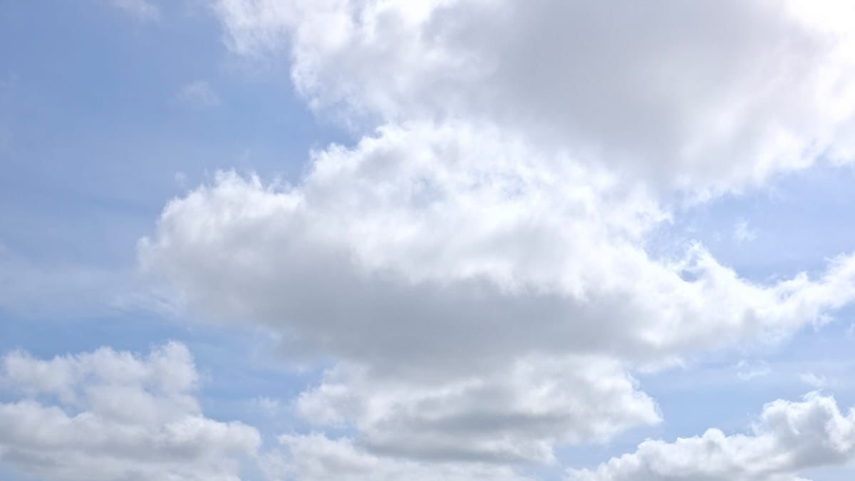 Jornadas de limpieza intentan prevenir peligros aéreos en Cortissoz; Retiran toneladas de basura de zonas cercanas al aeropuerto

 – Ojo critico