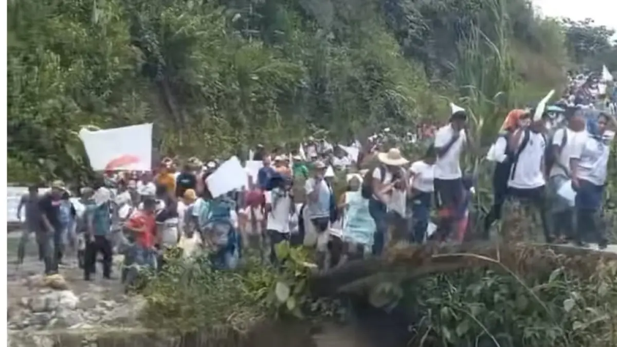 Más de 200 familias viven un vía crucis tras ser desplazadas por grupos armados que desafían las rutas de la droga en Nariño

 – Ojo critico