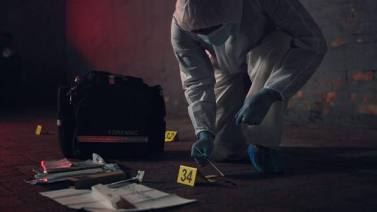 Un adulto mayor sería el responsable de asesinar a su pareja sentimental en un hotel de Medellín; el hombre intentó suicidarse

 – Ojo critico