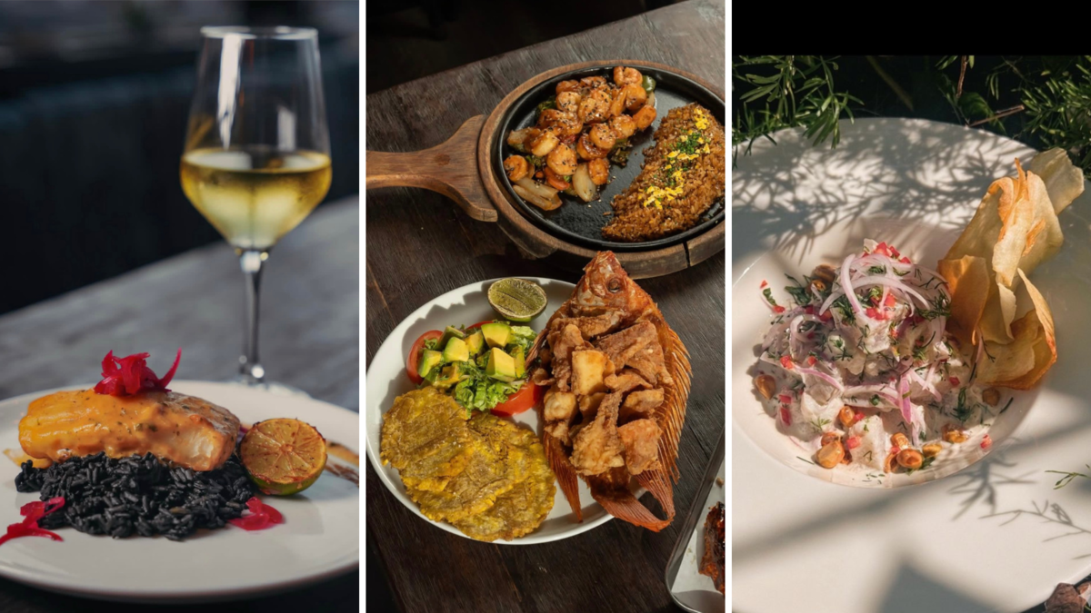 un nuevo establecimiento gastronómico y cultural que pretende atraer turismo y ampliar la oferta en Cartagena

 – Ojo critico