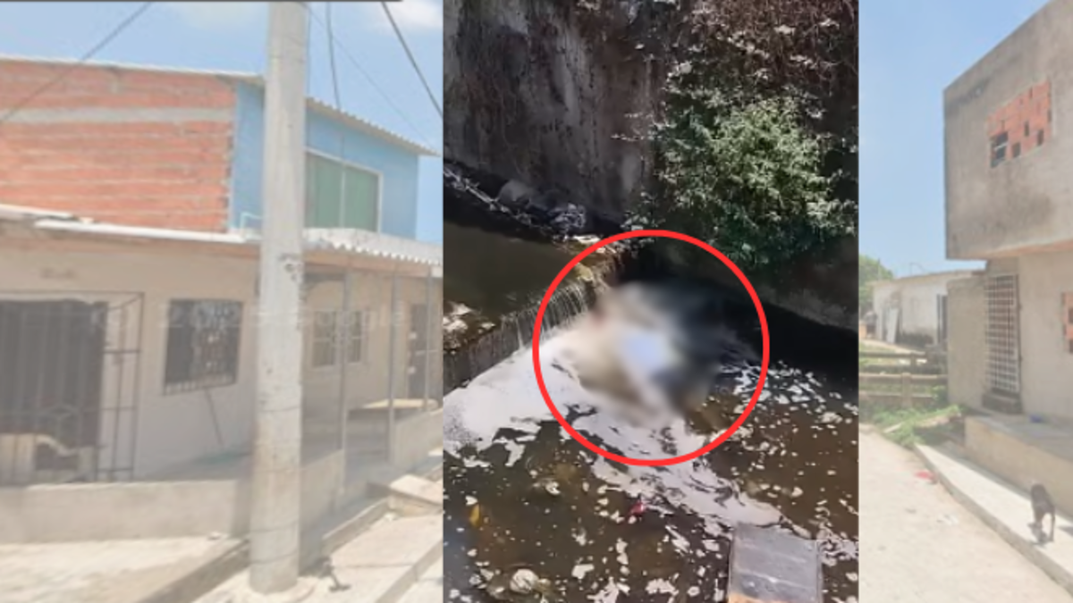 Se conoce conmoción tras hallazgo de cuerpo flotando en un arroyo entre La Pradera y Los Olivos

 – Ojo critico