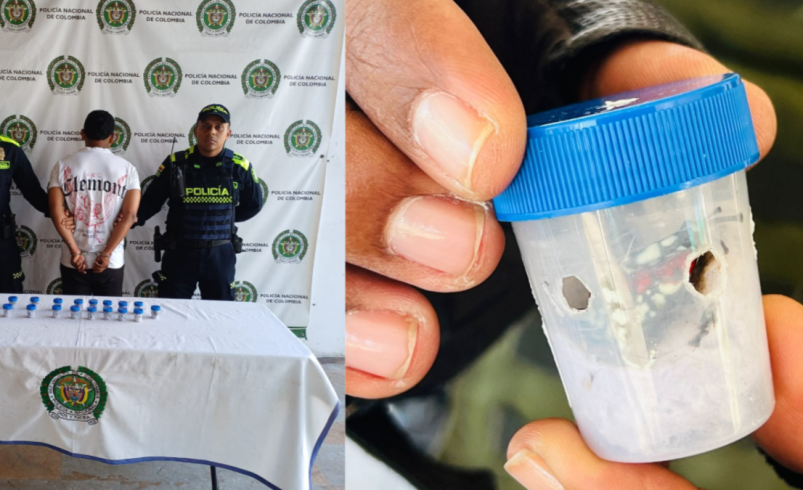 ¿Qué hay detrás de su comercio ilegal?

 – Ojo critico