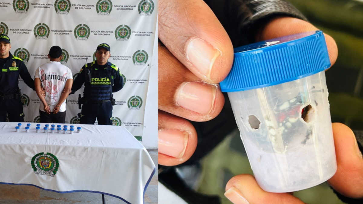 ¿Qué hay detrás de su comercio ilegal?

 – Ojo critico