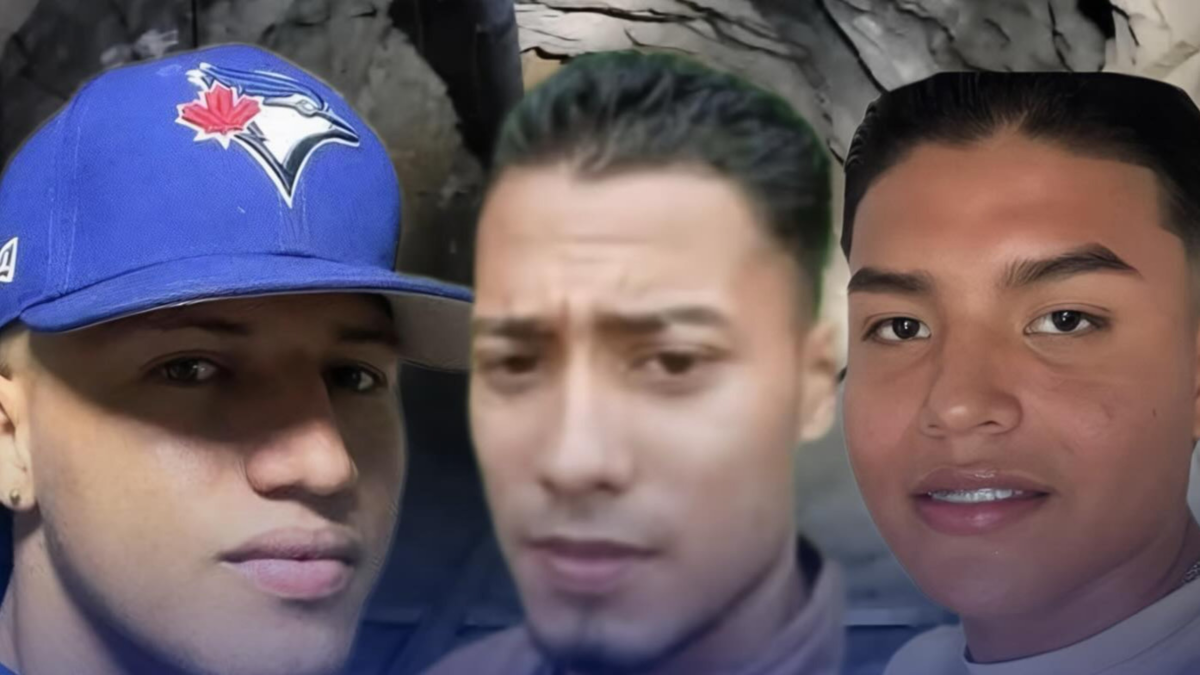 Están investigando las causas de sus muertes.

 – Ojo critico