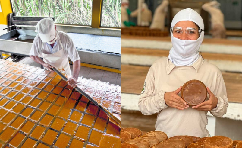 La iniciativa reunirá a 3.000 familias rurales

 – Ojo critico