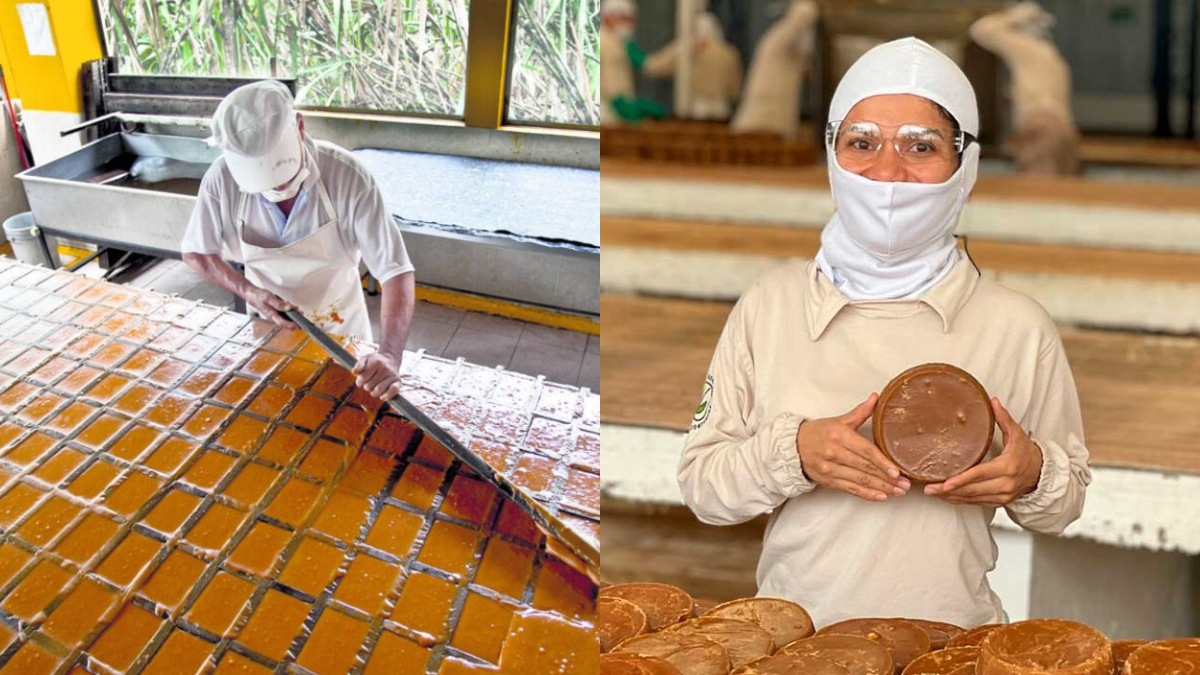 La iniciativa reunirá a 3.000 familias rurales

 – Ojo critico