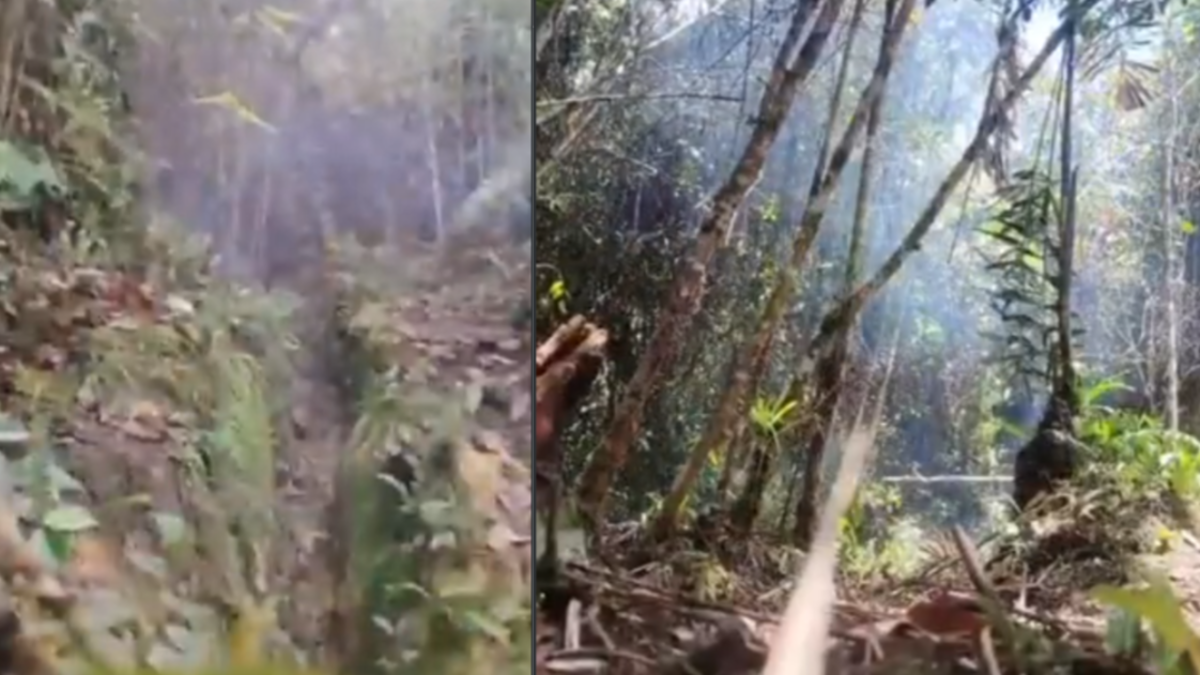 El Ejército evitó nuevos ataques del ELN al desactivar ocho explosivos escondidos cerca de una vía utilizada por la comunidad Anorí en Antioquia

 – Ojo critico