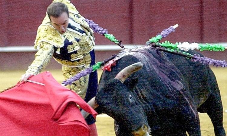 Muere el torero Ricardo Ortiz tras una trágica riña en Málaga

 – Ojo critico